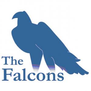 The Falcons Preparatory School for Boys