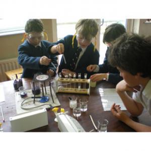 The Falcons Preparatory School for Boys