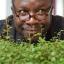 Mad Professor enjoys playing hide and seek