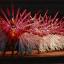 Colourful celebration: Caribbean Carnival