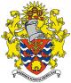 Football Team Logo for Dagenham & Redbridge