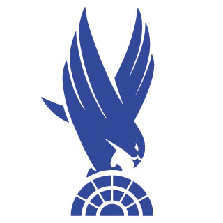 Crystal Palace badge D