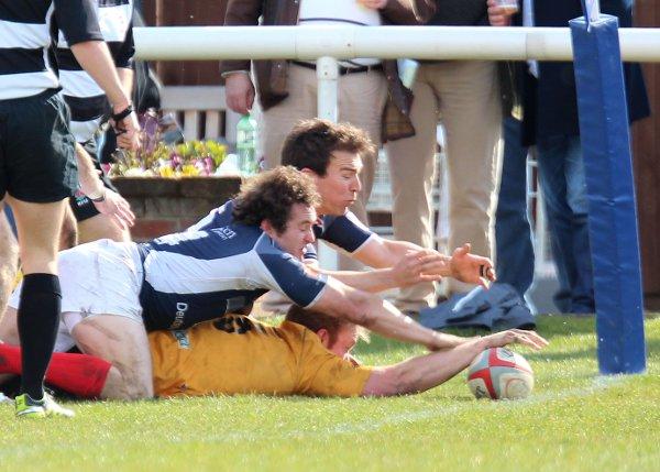 Fading dreams: Sam Stitcher's bonus point try looked like it might save Esher, but Scottish secured a bonus point of their own to send them down