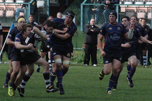 On the rampage: Sutton & Epsom's Matt Whitacker