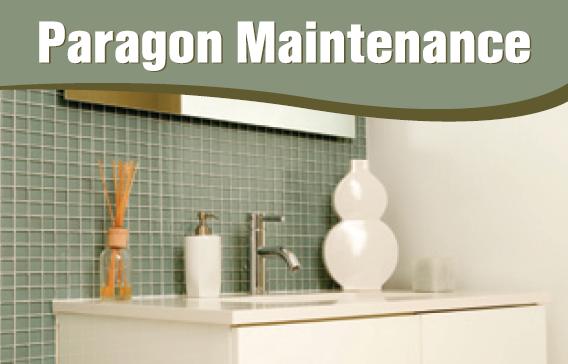 Paragon Maintenance