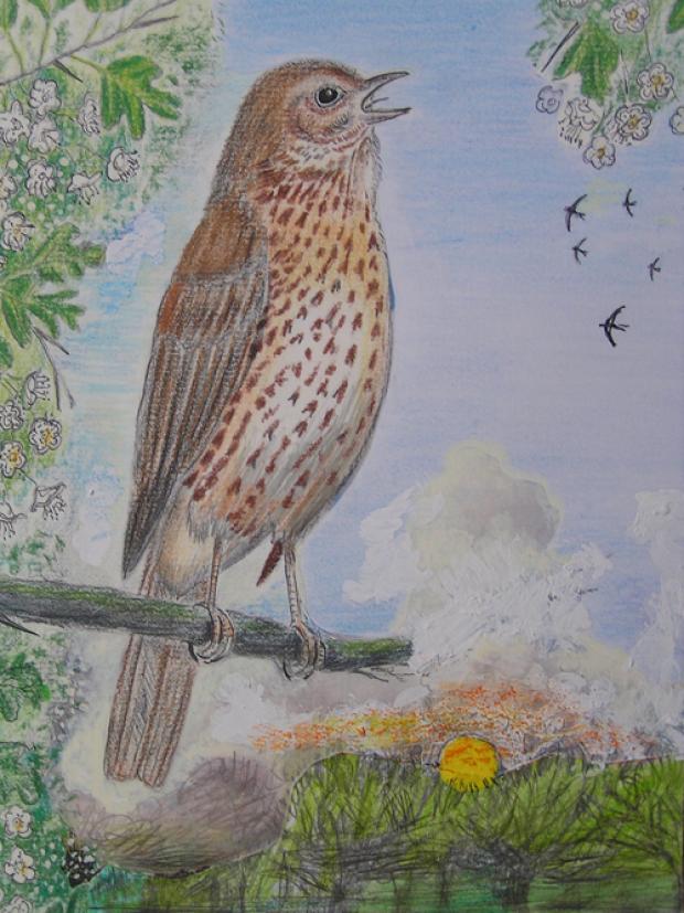 Nature Notes: Singing in the rain