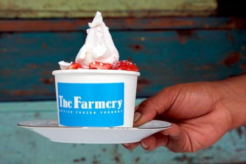 Cool treats: The Farmery