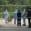 Infant's body parts found on Tooting Common, police confirm