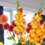 Hundreds of visitors flocked to the Epsom Garden Society's autumn show