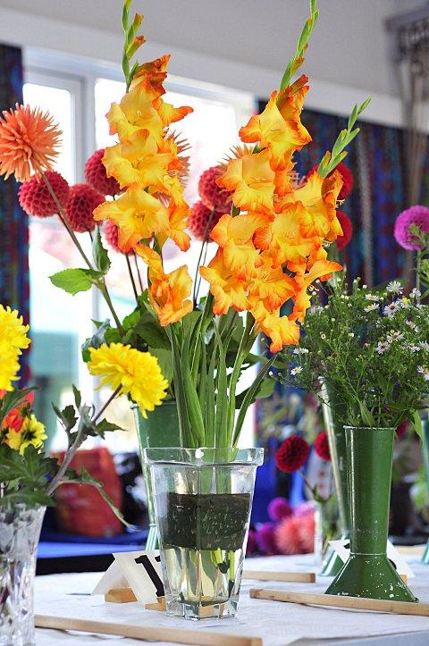 Hundreds of visitors flocked to the Epsom Garden Society's autumn show