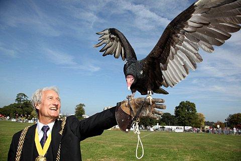 Mayor of Lambeth, Councillor Clive Bennett, with Otis a turkey vulture