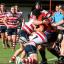 Loose ball: The Park defence stop a Cinderford attack in its tracks to force a turnover at the weekend, but a series of blunders cost them dear	David Whittam