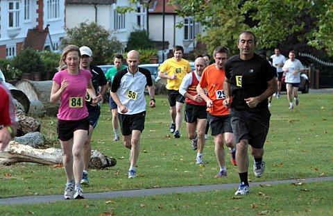 Runners compete in the cross country race