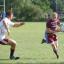 Wimbledon scorer: Neil Hallett was deadly with the boot against Old Colfeians    SP68732
