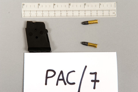 Magazine and bullets