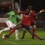 Rock: Defender Darren Powell was again solid at the back for the Beavers