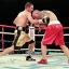 From the side: Daws lays one on his opponent's ribs          Gary Brind