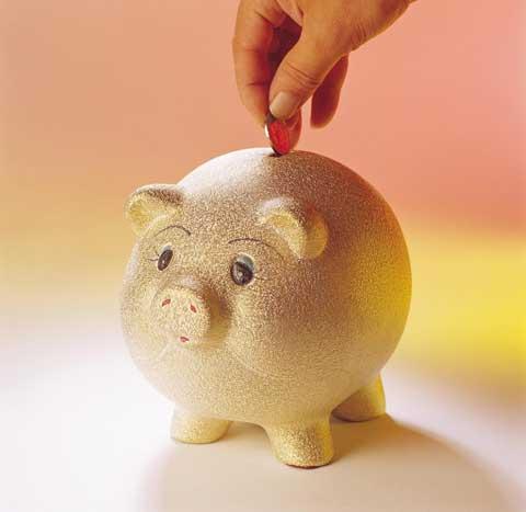 Two year council tax freeze on the cards