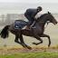 December: Sprinter Sacre won the Tingle Creek Chase at Sandown Park
