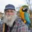 CJ Harwood, with his other parrot Jack, is hoping to find Annie.