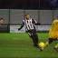 New man: Dominic Vose could not prevent defeat against Horsham, but the former West Ham midfielder scored in the 2-2 draw with Dulwich Hamlet on New Year's Day   SP70809