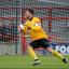 Man at the back: Nick Hamann is firm believer that the Robins can beat the drop    SP7084o