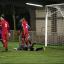 Opener: Steve Noakes wheels away to celebrate opening the scoring on Wednesday