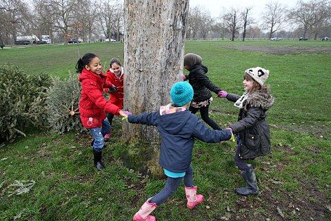 Pupils from Honeywell junior school dancing round an older tree