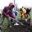 Schoolchildren plant new trees on Clapham Common