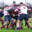 Get out the way: Old Counts' prop Pete Cowlin tries to take on the Kingston forwards single handedly          Picture: Alun Stockton