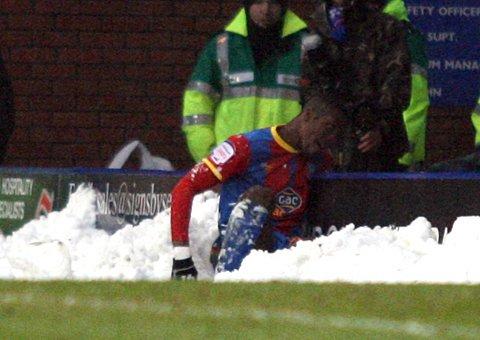 It's snow life: Wilfried Zaha takes time out to frolic in the wintery drift      SP72943