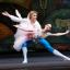 Russian State Ballet's UK tour heads to Wimbledon