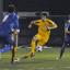 Goalscorer: Harry Ottaway grabbed the decisive second goal for United in the 2-1 win over Welling United    SP73974