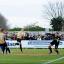 Leveller: Jack Midson draws AFC Wimbledon level against Bradford City      SP73094