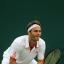 In the court: Ross Hutchins reached number 28 in the world doubles rankings   SP68311