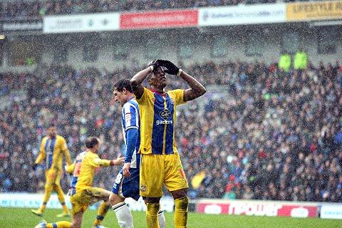 Calm down and carry on: Defeat at Brighton was just that, a defeat