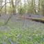 Nature Notes: Habitat destruction