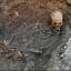 Researchers say the remains of King Richard III were buried in a hastily dug grave (University of Leicester/PA)