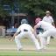 Streatham Guardian: King of the crease: Richard King on his way to a knock of 46 SP78475 Streatham Guardian: King of the crease: Richard King on his way to a knock of 46 SP78475