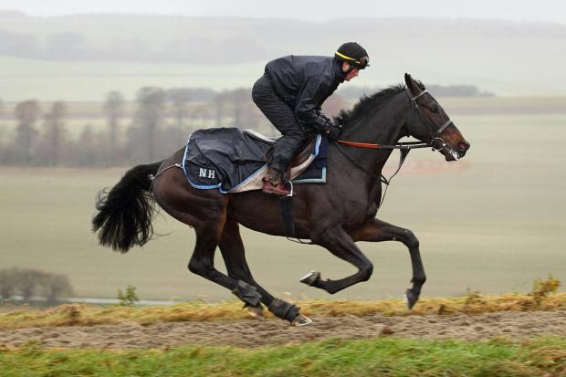 Streatham Guardian: Poetry in motion: Sprinter Sacre Streatham Guardian: Poetry in motion: Sprinter Sacre