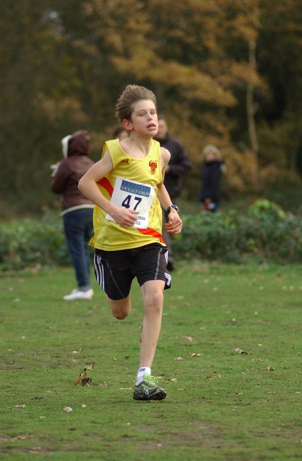 Streatham Guardian: Straining every sinew: Hercules Wimbledon's Oscar White helped drive Surrey U13s team to bronze at the South of England inter-counties cross-country championships Streatham Guardian: Straining every sinew: Hercules Wimbledon's Oscar White helped drive Surrey U13s team to bronze at the South of England inter-counties cross-country championships