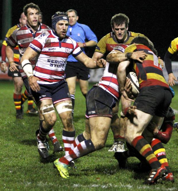 Streatham Guardian: Derby delight: Rosslyn Park were too strong for neighbours Richmond Picture: David Whittam Streatham Guardian: Derby delight: Rosslyn Park were too strong for neighbours Richmond Picture: David Whittam