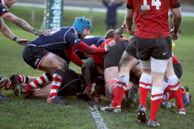 Streatham Guardian: In there somewhere: A hidden Tom Howe goes over for Rosslyn Park Streatham Guardian: In there somewhere: A hidden Tom Howe goes over for Rosslyn Park