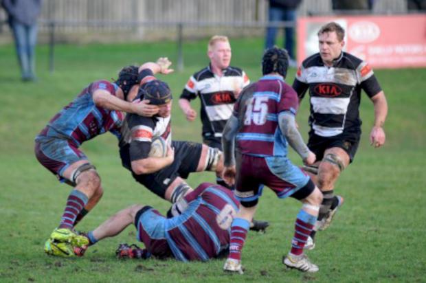 Streatham Guardian: Battle: Sutton & Epsom's Mike Blakeburn is tackled during the 22-10 defeat to neighbours Wimbledon Pictures: Ben Mole/Sutton & Epsom RFC Streatham Guardian: Battle: Sutton & Epsom's Mike Blakeburn is tackled during the 22-10 defeat to neighbours Wimbledon Pictures: Ben Mole/Sutton & Epsom RFC