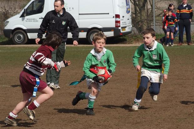 Streatham Guardian: In peril: Mini rugby is likely to become dangerous under new RFU ruling, says Park coach Streatham Guardian: In peril: Mini rugby is likely to become dangerous under new RFU ruling, says Park coach