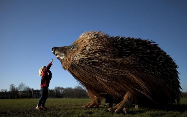 Streatham Guardian: A young child admires the giant sculpture of a hedgehog Streatham Guardian: A young child admires the giant sculpture of a hedgehog