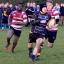 Streatham Guardian: Fight back: Callum Stone races through to score a dramatic try just before half-time Pictures: Alun Stockton Streatham Guardian: Fight back: Callum Stone races through to score a dramatic try just before half-time Pictures: Alun Stockton