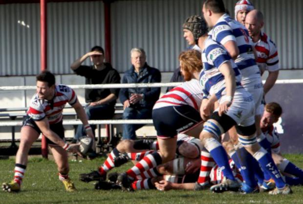 Streatham Guardian: Set-up: Matt Heeks begins another Rosslyn Park move in the win over Tynedale All pictures: David Whittam Streatham Guardian: Set-up: Matt Heeks begins another Rosslyn Park move in the win over Tynedale All pictures: David Whittam