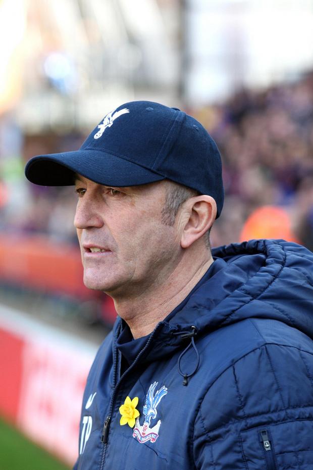 Streatham Guardian: Frustrated: Tony Pulis watches his Palace side lose 1-0 at home to Southampton Streatham Guardian: Frustrated: Tony Pulis watches his Palace side lose 1-0 at home to Southampton