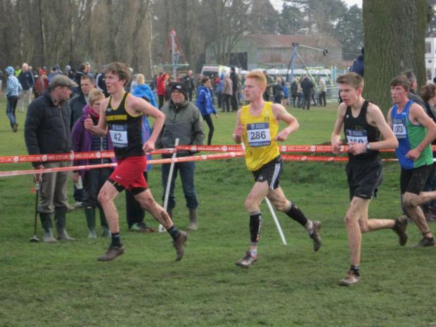 Streatham Guardian: Unscathed: Harvey White, in the gold vest, made a successful return from injury at the National Inter-Counties Cross-Country Championships in Birmingham Streatham Guardian: Unscathed: Harvey White, in the gold vest, made a successful return from injury at the National Inter-Counties Cross-Country Championships in Birmingham